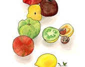 Heirloom Tomatoes (print)