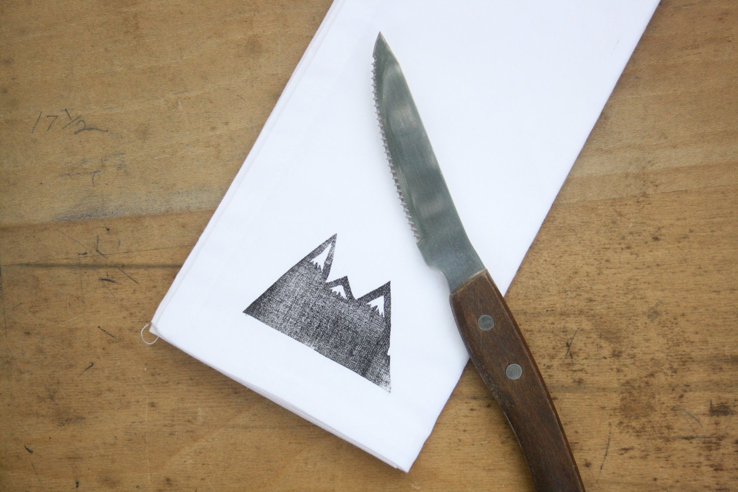 Napkins Mountain print set of 4 block printed cloth dinner napkins