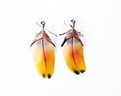 Yellow and Orange feather earrings