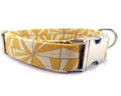 DIAMOND in GOLD Dog Collar HANDMADE