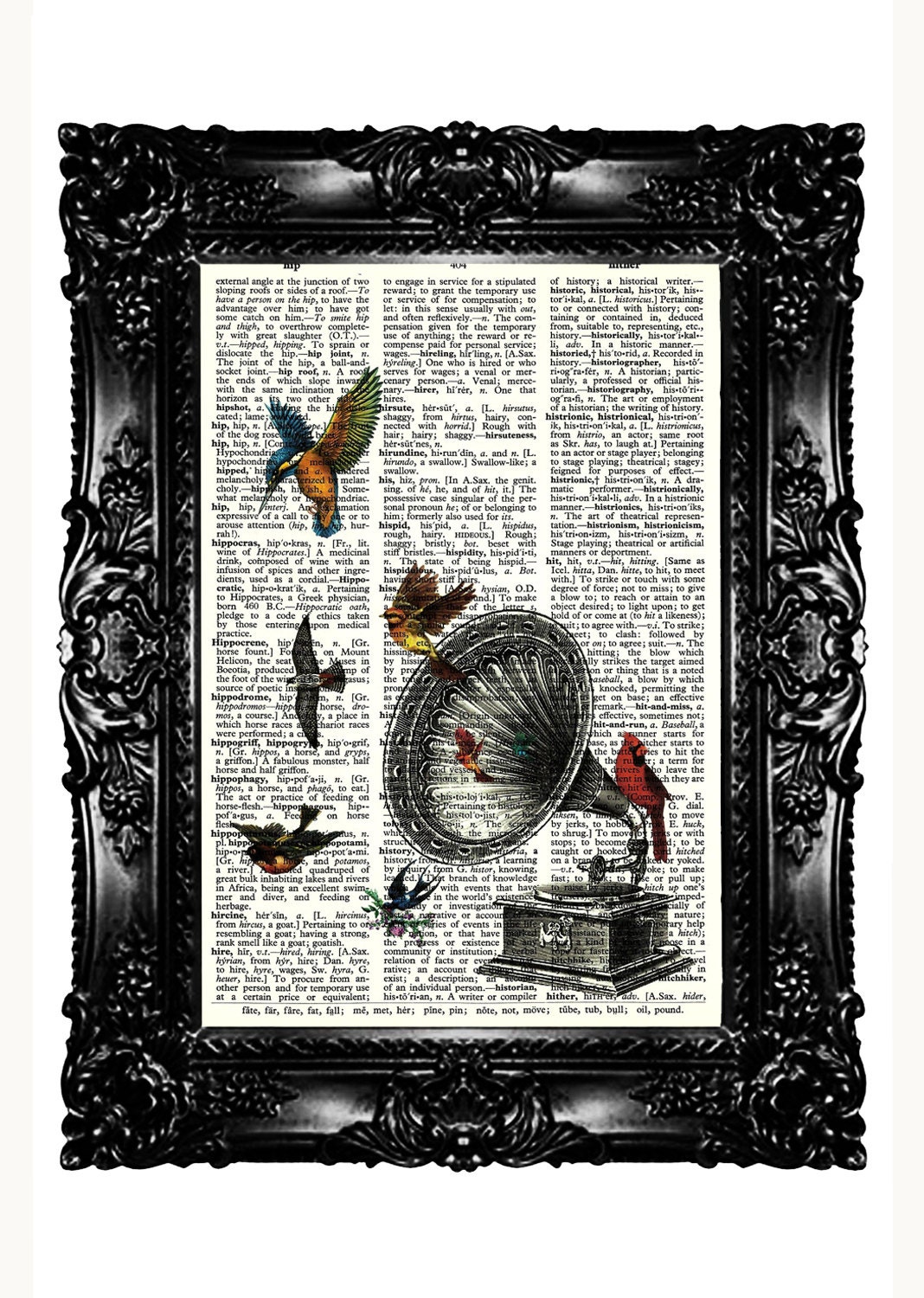 Gramaphone & Birds Dictionary Art Print Upcycled Book Altered Art Vintage Book Print  Buy 3 get 4th free