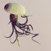 3 Chartreuse Jellyfish Air Plant // Sea Urchin Wedding Favor Decor Gift DIY shell hanging art octopus lime green