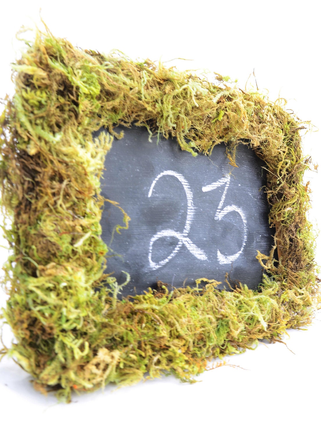 Moss covered chalkboard frame