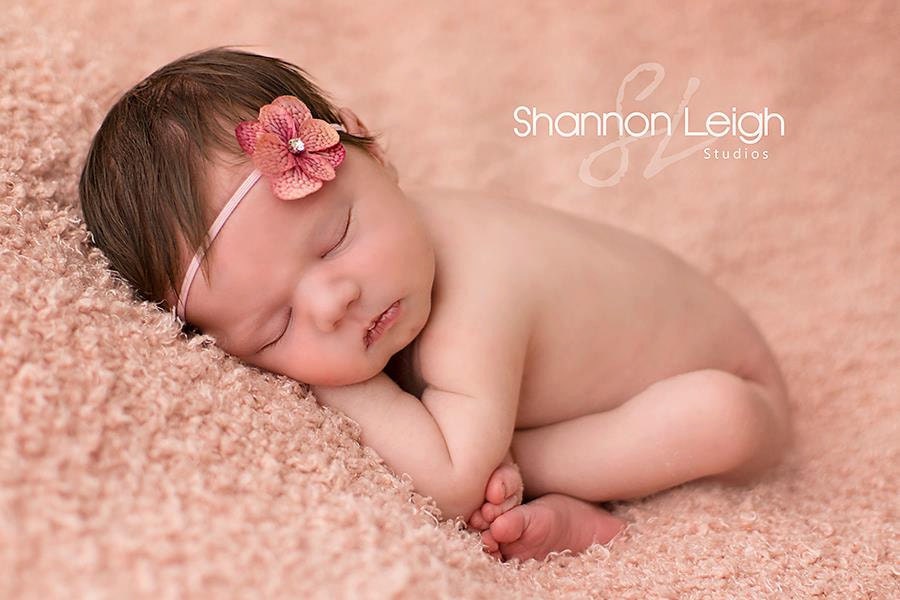 Newborn Headband Mauve Pink Hydrangea Flower Headband Beautiful Newborn Photo Prop