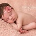 Newborn Headband Mauve Pink Hydrangea Flower Headband Beautiful Newborn Photo Prop