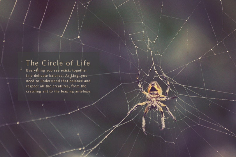Yellow Spider Web in Manuel Antonio Costa Rica Photo Art Print Jungle Rain Forest Lion King Bug Insect Nature Eco Travel - 8 x 12