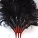 Incredible 1910s 1920s Antique Tortoise Colour Fanned Black Ostrich Feather Plume Hair Comb Head Piece Tiara - Glamorous Vaudeville