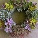 Special Listing for Michelle 12 inch Succulent Living Wreath and MORE Perfect Unique Decor Gift FACEBOOK SPECIAL