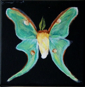 Luna Moth "La Luna" LIMITED EDITION print (ready to hang) by Erin Paul
