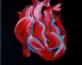 Anatomically Correct Heart "A Loving Muscle" LIMITED EDITION print (ready to hang) by Erin Paul