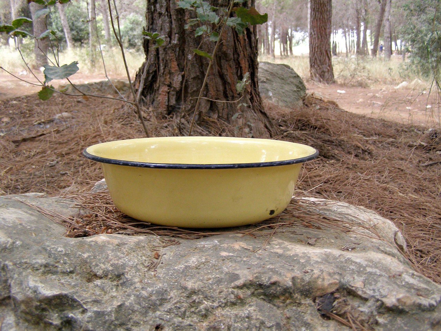 Farmhouse mustard Enamel Bowl, Rustic enamel bowl, Cottage Kitchenware, retro rustic bowl, vintage Planter, Autumn, Winter, Garden decor