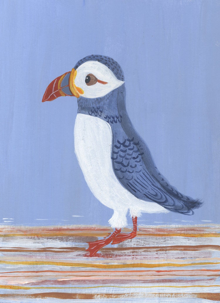 Norman the Puffin standing on his Missoni Rug