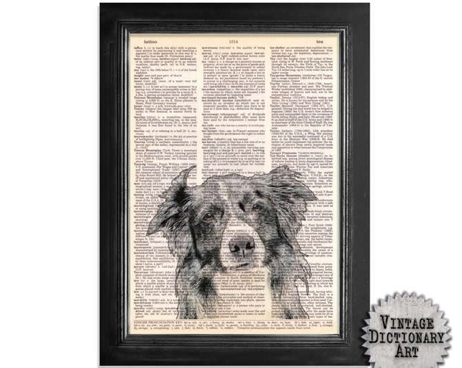 The Border Collie - A Vintage Dictionary Paper Print - 8x10.5 - Dictionary Art Print on vintage dictionary book page of paper - VintageDictionaryArt