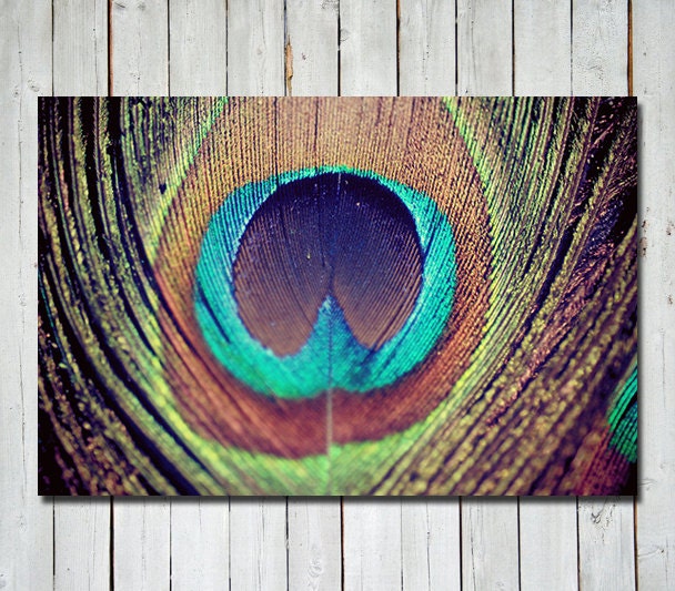 Peacock feather photograph - metallic - peacock wall art - peacock decor - dreamy - whimsical - peacock feather - unique 8x12 metallic