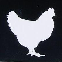 CHICKEN Hen White Vinyl Car Window Sticker Decal Farm Fresh Eggs Daily 2" Right Facing
