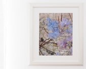 Blue Hydrangea Flower Photography 8x10 french country decor whimsical floral bohemian valentine's day gift for her