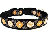 Unique Dog Collar Classy Gold Flowers 1" Wide Dog Collar