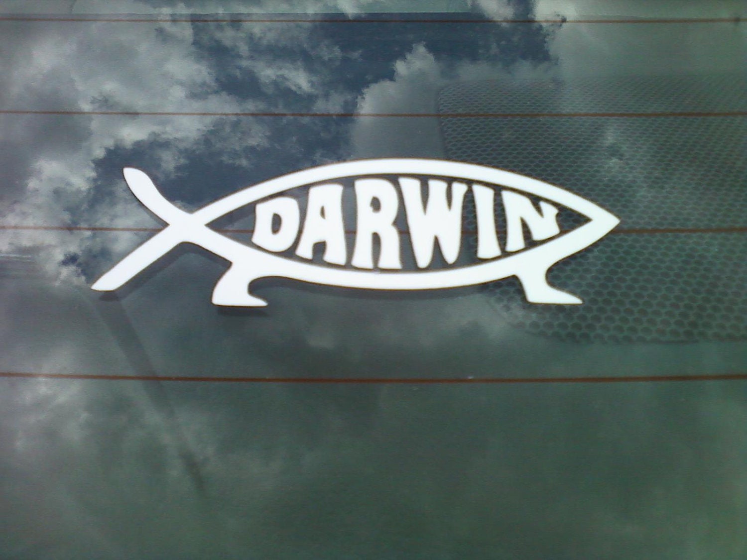 Darwin Fish Bumper Sticker / Window Decal