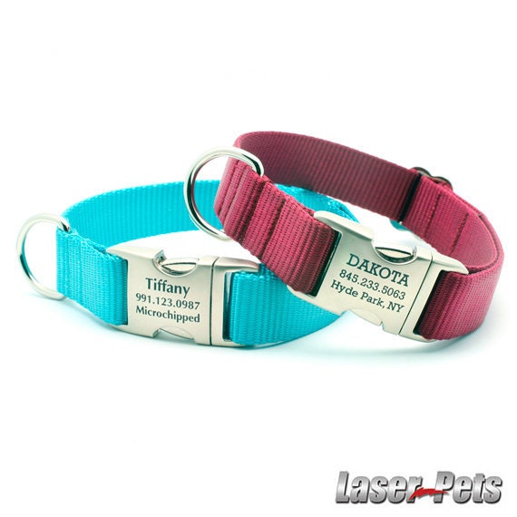 HEAVY DUTY Webbing Dog Collar with Personalized Buckle