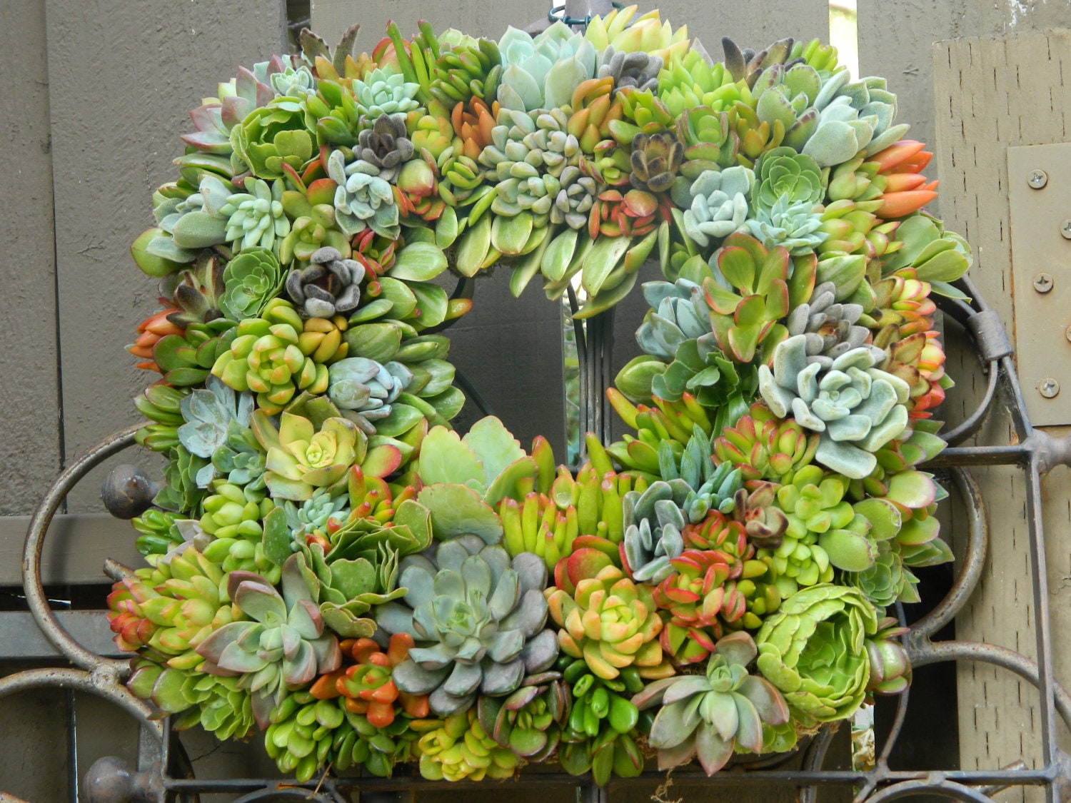 Succulent Wreath Square Succulent Wreath- 15 " Square Succulent Wreath Fall Wedding Autumn Wreath Home Decor