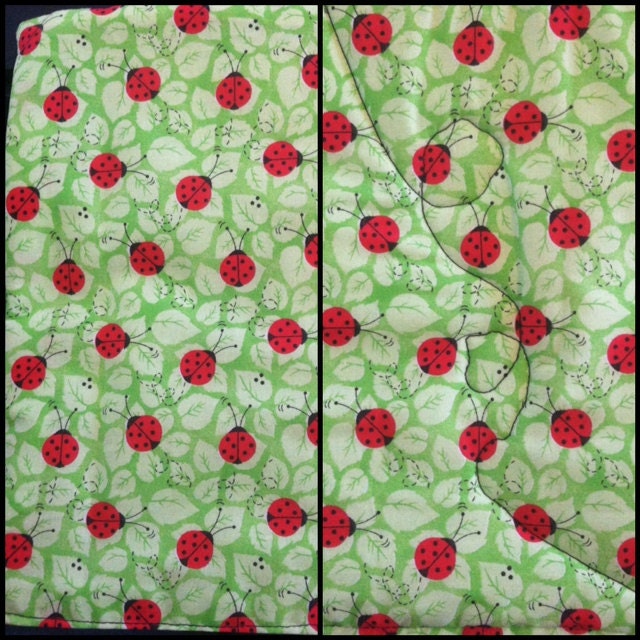 Ladybug hot pad