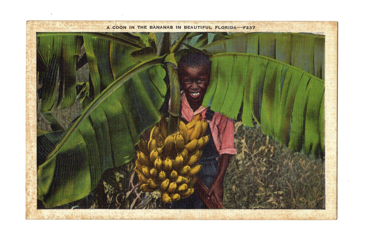 Vintage black Americana colorized linen postcard - racist depiction of boy in banana tree
