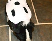 Ghost costume. Guinea pig / pet Halloween costumes by la Marmota Café.