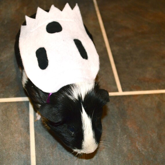 Items similar to Ghost costume. Guinea pig / pet Halloween costumes by