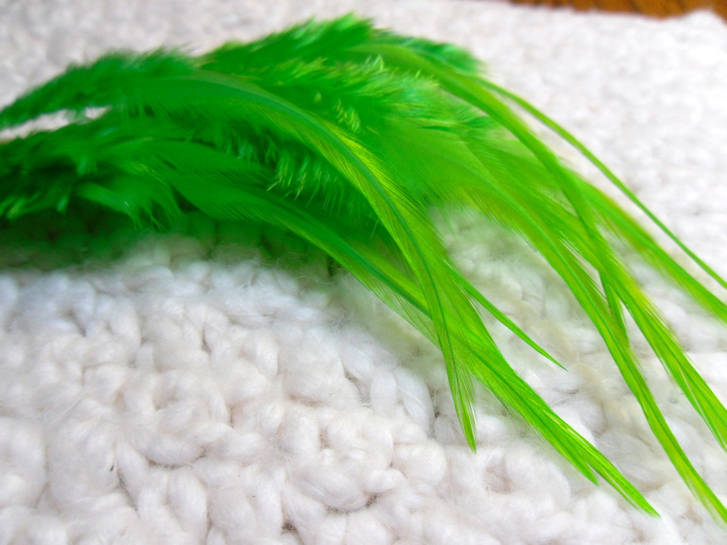 Bright Green Feathers, Electric Green Craft Feathers, Qty12