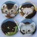 The Shy LIttle Kitten Book Magnets