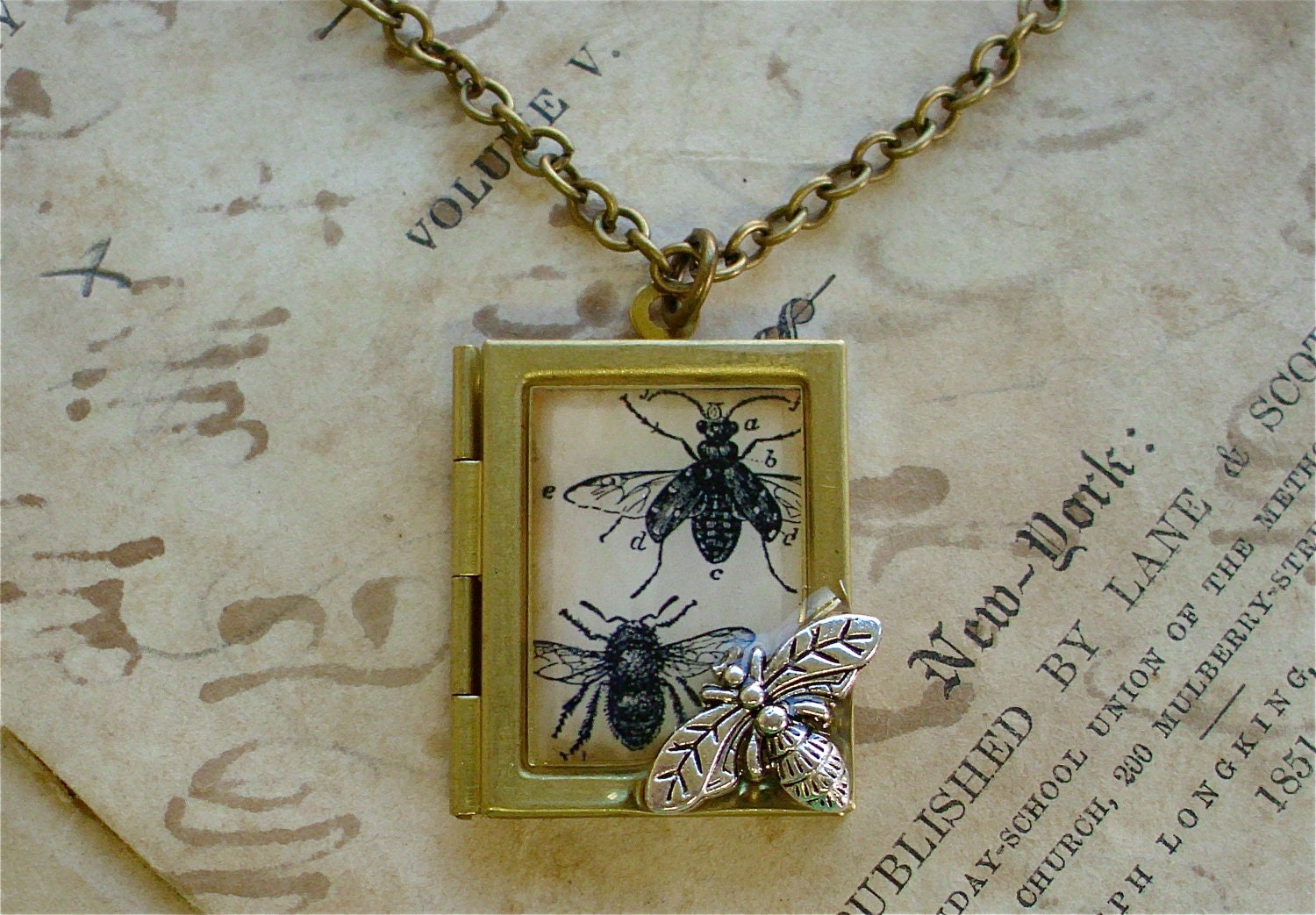 Golden Honey Bee and Beetle Locket Necklace - Antique Insect Print Pendant - Necklace w/ Chain in Brass