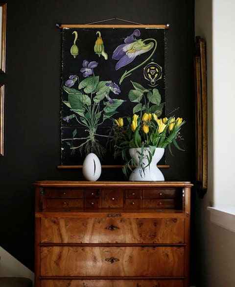 Black Background Botanical Chart Art - 20x30