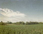 Landscape Photograph 8x10, Countryside Photography, Green Blue Rustic Home Decor, Farm Field Picture, Country Harvest Art