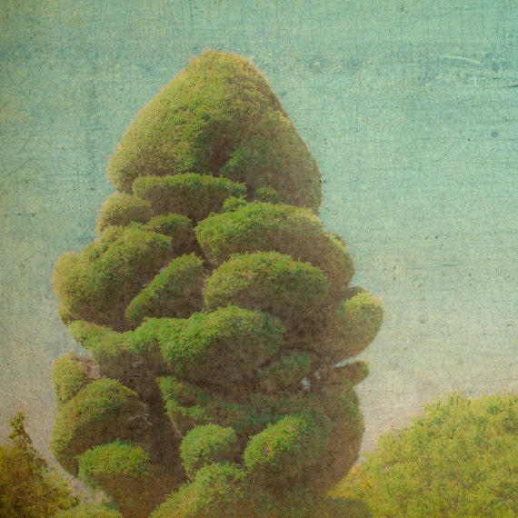 8x8 Surreal Nature Photograph, Blue Green Garden Photography,  Topiary Tree Square Photo, Modern Home Decor, tbteam