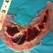 Large Silicone Prosthetic Appliance Zombie Horror SPFX