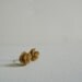 Light Brown (Caramel) Rose Cabachon Earrings
