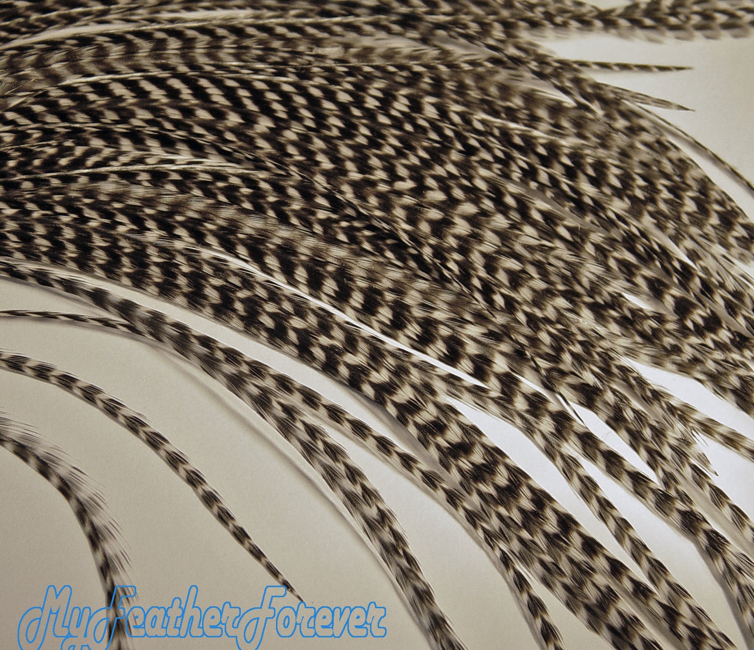 Black white GRIZZLY 10 FEATHER extension 9'' -12 '' long 4 bead
