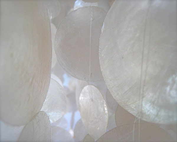 Pale Capiz Shells - 16x20 Photograph - Soft Muted Dreamy Misty Romantic Fine Art Decor - The Sighs of Moons Now Waned