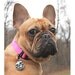 Dog Tag Pet Tag Dog ID Tag Skull Hand Stamped Name Tag