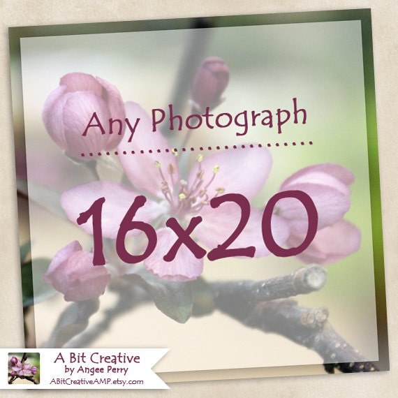 Any Photograph as a 16x20 Print