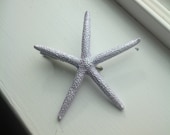 Petite Periwinkle pencil starfish hair clip
