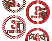 Sock Monkey - DIY Printable Monthly Iron On Transfer - Digital Images for Onesies or Bibs - INSTANT DOWNLOAD