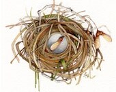 Painting watercolor original nest maple seed OOAK