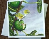 White eye,  australian (and NZ) native bird - blank greeting card from original oil painting