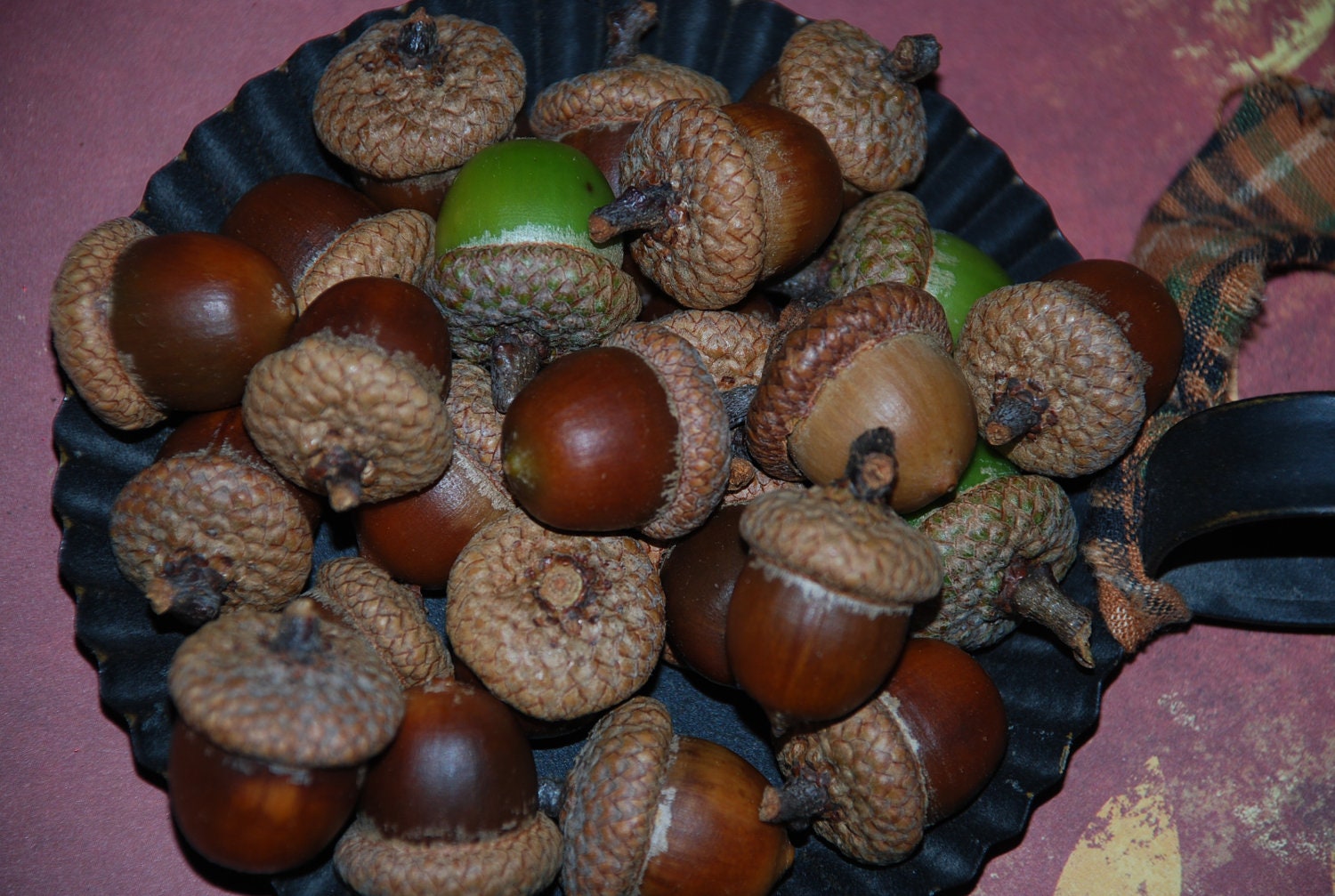 Natural Acorn With Caps
