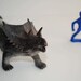 Triceratops Live Dino Terrarium