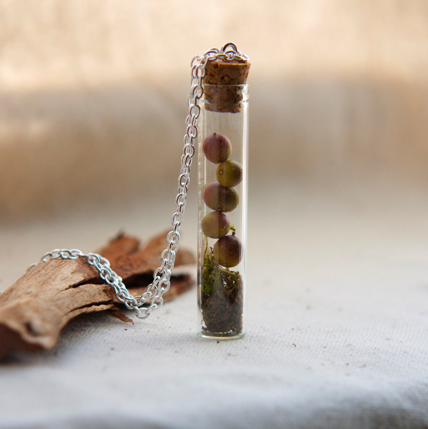 vial necklace botanical preserved specimen corked sage green moss dried berries. natural nature. tree woods