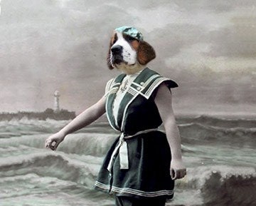 Brandy - Vintage Dog 5x7 Print - Altered Photo - Anthropomorphic - Saint Bernard Dog - Whimsical Art - Photo Collage -  Funny Animal Print