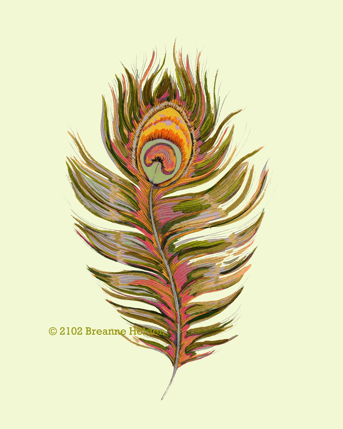 Watercolor Peacock Feather Painting Illustration Art Print 8 x 10