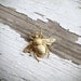 bee keeper - golden honey bee brooch